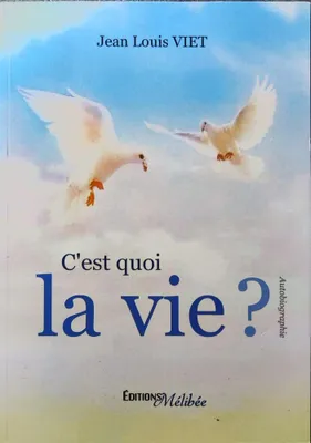 Image de C'est quoi la vie ?