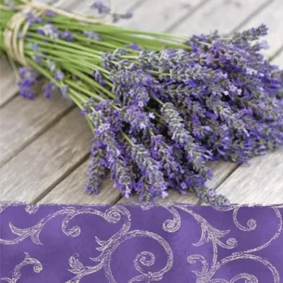 Produktbild von RP 20 Servietten Lavender In the Country - Lavendelstrauß auf Holz 33x33cm