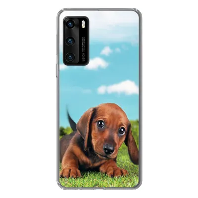 Produktbild von MuchoWow® Handyhülle Schutzhülle Hülle für Huawei P40 Schöner Himmel über einem niedlichen Dackelwelpen Silikon Softcase Handy Hülle - Handytasche