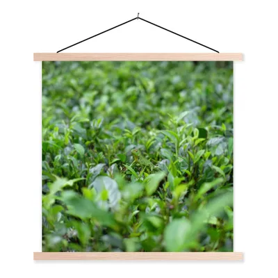 Produktbild von MuchoWow® Textilposter Grünpflanzen auf tropischem Boden 60x60 cm mit holzfarbenen Rahmen - Wanddekoration