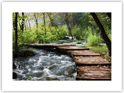 Produktbild von Poster - Poster ohne Rahmen - Park natur grün bäume - 40x30 cm - Wand Bild - Wanddeko - Wandbilder - Kunstposter - Wandposter - Bilder - Kunstdruck - Wanddekoration - Wandbild - P2XAA40x30-0356