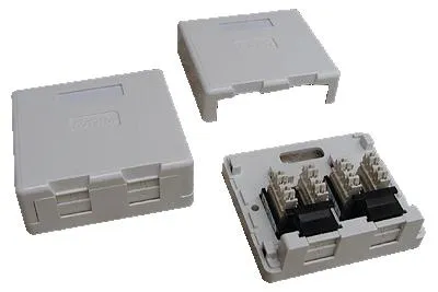 Image de DATACOM UTP 2xRJ45 zásuvka CAT6 na omítku (protiprachová)