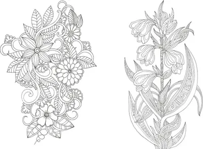 Zdjęcie produktu dla Kolorowa mandala - ogród botaniczny