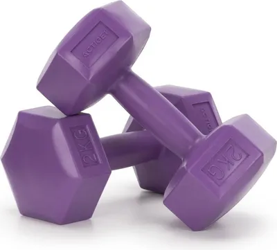 Immagine prodotto di Set di manubri ACTIGET 2×2 kg – Manubri per donne e per l'allenamento a casa | Fitness, allenamento della forza, allenamento in palestra domestica - Viola