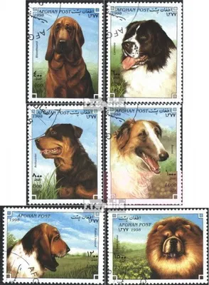 Produktbild von Briefmarken Afghanistan 1998 Mi 1754-1759 (kompl.Ausg.) gestempelt Hunderassen