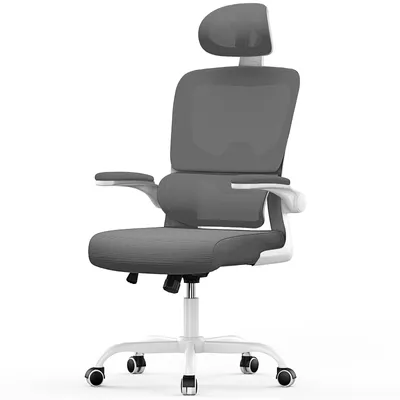 Image de Chaise de bureau ergonomique, hauteur d'assise de 53 cm, avec soutien lombaire élastique, Gris foncé