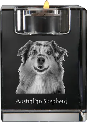 Produktbild von Australischer Schaferhund, Australian Shepherd - Kerzenhalter mit Hundefoto, Teelichthalter aus Kristall, personalisiertes Geschenk der Marke Art-Dog