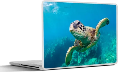 Produktbild von MuchoWow® Laptop Aufkleber Sticker Cover Meeresschildkrötenschwimmen auf Hawaii 40x30 cm - Laptop Dekoration - Selbstklebend