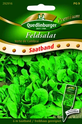 Produktbild von Feldsalat 'Verte de Cambrai' Quedlinburger Salatsamen Saatband