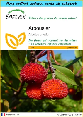 Image de SAFLAX Ensemble-cadeau - Arbousier - 50 graines - Arbutus