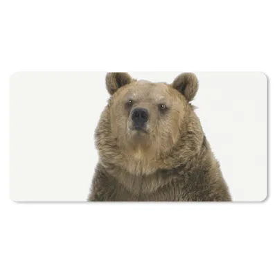 Produktbild von MuchoWow® Mauspad Mousepad Braunbär - Tiere - Bär - Niedlich - Jungen - Mädchen 60x30 cm - Mousepads - Maus Mat - Pad - Mausunterlage - Nachhaltig