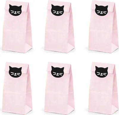Immagine prodotto di Festa del gatto 6 sacchetti