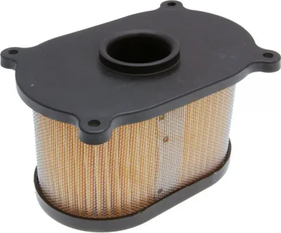 Zdjęcie produktu dla Filtr powietrza, papierowy, OEM, pasujący do motocykla Hyosung GT 125 Naked, rocznik 2013-2016