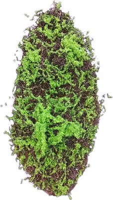 Produktbild von Moosmatte 90 x 30 cm Kunstpflanze Flora