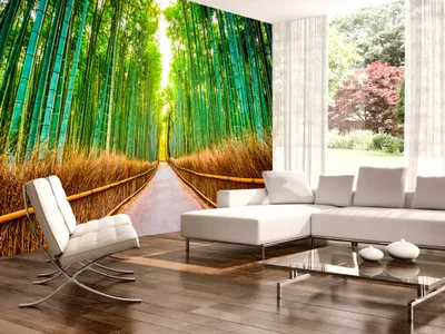 Produktbild von Vlies Fototapete Natur Wald Landschaft grün Straße Bambus Sonne 400x280 cm – Moderne Vliestapete, Tapete für Wohnzimmer, Wanddeko c-B-0074-a-b