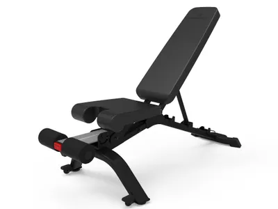 Obrázok produktu pre Bowflex Posilňovacia lavička 3.1S polohovacia s nosnosťou 218 kg