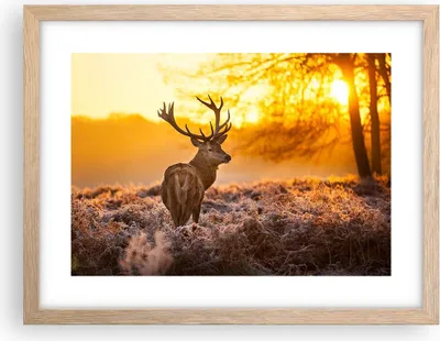 Produktbild von Gerahmtes Poster - Rahmen in heller Eiche - Herbst landschaft natur blatt - 40x30 cm - Wand Bild - Wanddeko - Wandbilder - Wandposter - Bilderrahmen - Bilder - Kunstdruck - Wandbild - P2NAA40x30-2552