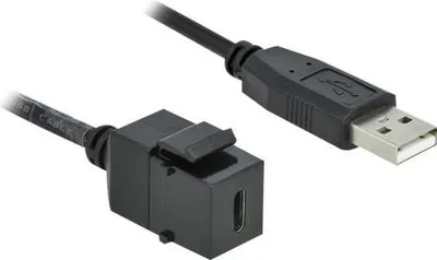 Image de Delock Keystone Modul USB 2.0 C Bu > USB 2.0 A stec, kabel