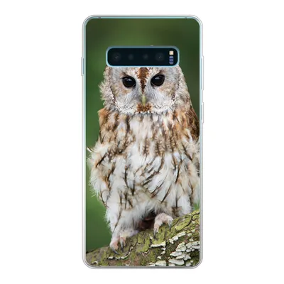 Produktbild von MuchoWow® Handyhülle Schutzhülle Hülle für Samsung Galaxy S10 Lite Braune Eule sitzt auf einem Baum Silikon Softcase Handy Hülle - Schutz