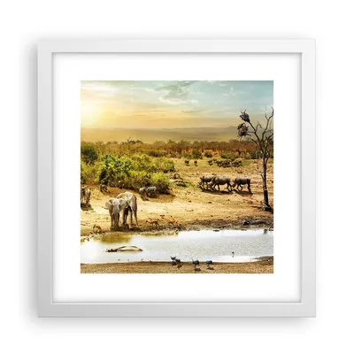 Produktbild von Gerahmtes Poster - Weißer Rahmen - Safari Tiere - 30x30 cm - Wand Bild - Wanddeko - Wandbilder - Kunstposter - Wandposter - Bilderrahmen - Bilder - Kunstdruck - Wandbild - P2WAC30x30-3880