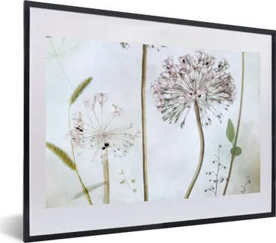 Produktbild von MuchoWow® Gerahmtes Poster Blumen - Dekorative Zwiebel - Stilleben - Pflanzen 60x40 cm - Poster mit Schwarzem Bilderrahmen Wandposter Rahmen Foto Bilder - Schlafzimmer - Plakat in Rahmen - Drucken
