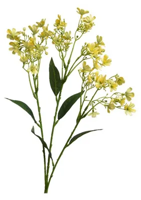 Produktbild von Decoris Kunstblume Jasmin h72cm gelb