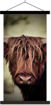 Produktbild von MuchoWow® Textilposter Schottisches Hochlandrind - Licht - Porträt - Natur 40x80 cm mit schwarzem Rahmen - Wandemalerei