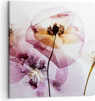 Produktbild von Bild auf Leinwand - Leinwandbild - blume sommer natur - 50x50cm - Wand Bild - Wanddeko - Wandbilder - Leinwanddruck - Bilder - Kunstdruck - Wanddekoration - Leinwand bilder - Wandkunst - AC50x50-3821
