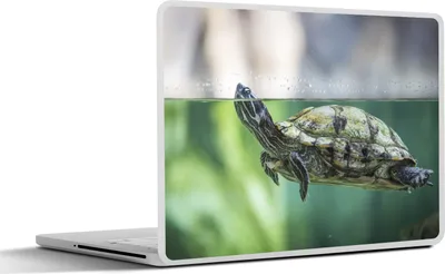 Produktbild von MuchoWow® Laptop Aufkleber Sticker Cover Nahaufnahme einer Schildkröte 31x22.5 cm - Laptop-Deko