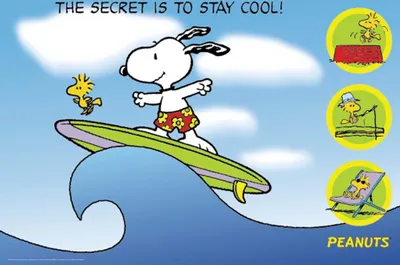 Produktbild von Peanuts Poster  101,5 x 68,5 cm
