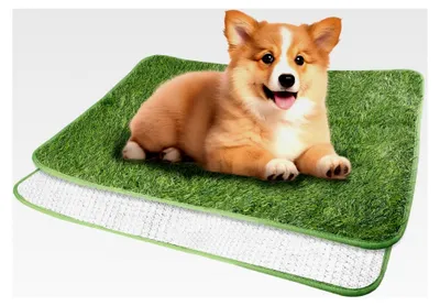Produktbild von Hundeklo Kunstrasen für Hunde, 40x60cm Welpentoilette Trainingsunterlage, Waschbare Hunde Training Rasenmatte, Wasserdichtes Hundetoilette für Zuhause