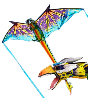 Produktbild von Kinderdrachen X-Kites 3D Dragon 2190030 Grün 195 x 86 cm