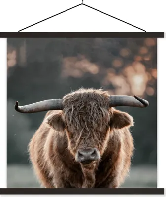 Produktbild von MuchoWow® Textilposter Kuh - Schottisches Hochlandrind - Hoorn 40x40 cm mit schwarzem Rahmen - Fotos
