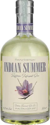 Produktbild von Indian Summer Gin 700ml 46% Vol.