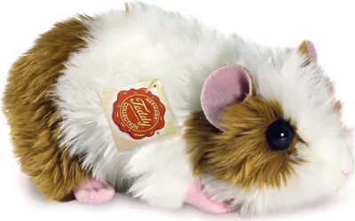 Produktbild von Meerschweinchen gold/weiss, ca. 18 cm, 1Stück