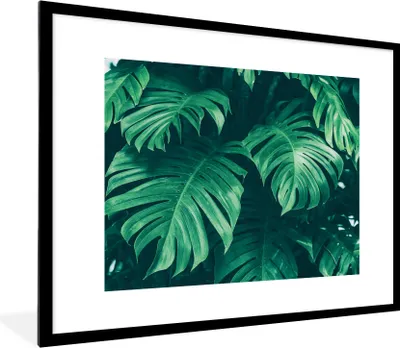 Produktbild von MuchoWow® Gerahmtes Poster Monstera - Blätter - Pflanzen - Dschungel - Natur 80x60 cm - Poster mit Schwarzem Bilderrahmen Wandposter Rahmen Foto Bilder - Schlafzimmer-Dekorationen - Fotoposter