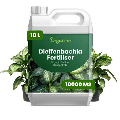 Zdjęcie produktu dla Dieffenbachia Nawóz Płynny 10 L – 3-4-3 NPK – Do Rośliny Domowe – Do Zdrowe Listy i Bujne Sfarbenie – Podporuje Korzenie i Vitalitu – Organifer