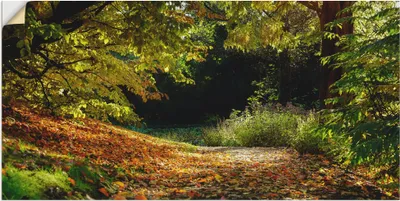 Produktbild von ARTland Wandbild, selbstklebend Herbstteppich Größe: 150x75 cm