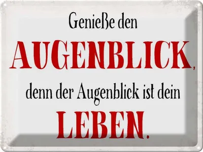 Produktbild von vianmo Blechschild 30x40 cm genieße den Augenblick Leben Spruch Zitat
