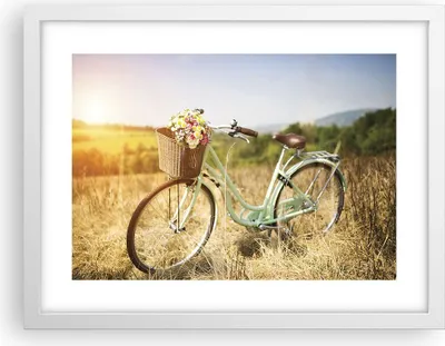 Produktbild von Gerahmtes Poster - Weißer Rahmen - Fahrrad Wiese Blumen - 40x30 cm - Wand Bild - Wanddeko - Wandbilder - Kunstposter - Wandposter - Bilderrahmen - Bilder - Kunstdruck - Wandbild - P2WAA40x30-4206