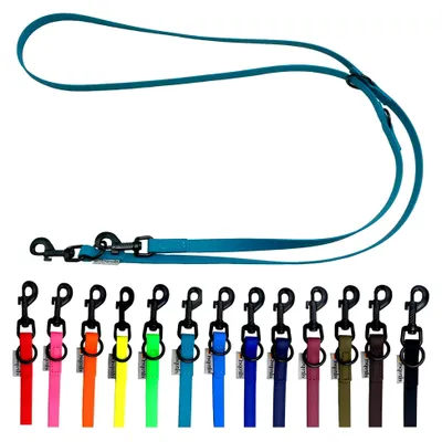 Produktbild von Biothane Hundeleine für kleine und große Hunde verstellbar 2m / 2,40m / 2,80m / 3,50m / 5m mit schwarzem Haken (2,80m X 16mm, Petrol)