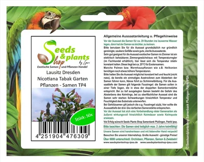 Zdjęcie produktu dla 50x Łużycki Drezdeński Tytoń Nicotiana Rośliny ogrodowe - Nasiona TP4