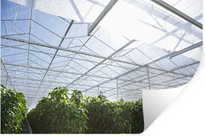 Produktbild von MuchoWow® - Wierderverwendbar - Selbstklebend