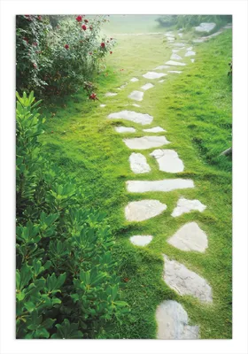 Produktbild von Wallario Wandbild Steinweg im Grünen, Größe: 61 x 91,5 cm, Poster mit rahmenlosen Bildhalter