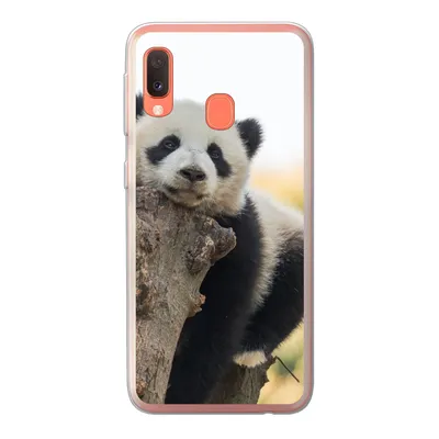 Produktbild von MuchoWow® Handyhülle Schutzhülle Hülle für Samsung Galaxy A20e Panda - Baum - Licht Silikon Softcase Handy Hülle - Abdeckung