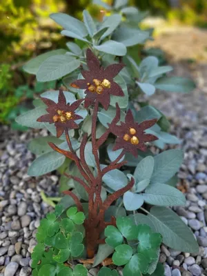 Produktbild von Edelrost Topfstecker Edelweiß, 3 Blüten
