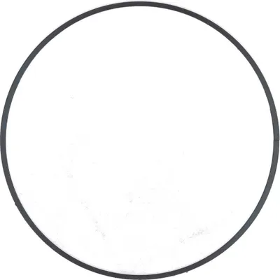 Image de SHIMANO Stopring SG-8R20 - Joint d'étanchéité pour moyeu à vitesses intégrées SG-8R20, 2 g.