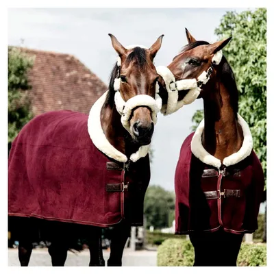 Produktbild von Schweißdecke Fleece Bordeaux 145