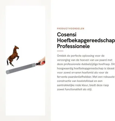 Zdjęcie produktu dla Profesjonalna pilka do kopyt koni - dwustronna - do pielęgnacji kopyt - wykonana ze stali węglowej - długość 35 cm / 47 cm - łatwa w użyciu - pilka do kopyt