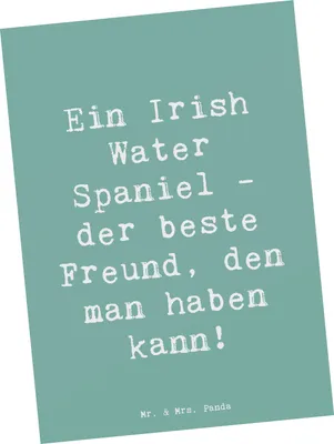 Produktbild von Mr. & Mrs. Panda Postkarte Spruch Irish Water Spaniel Freund - Meeresbrise - Geschenk, Hunderassen, Jagdhund, treue Begleiter, Postkarten, Ansichtskarte, Charakter, Hunde